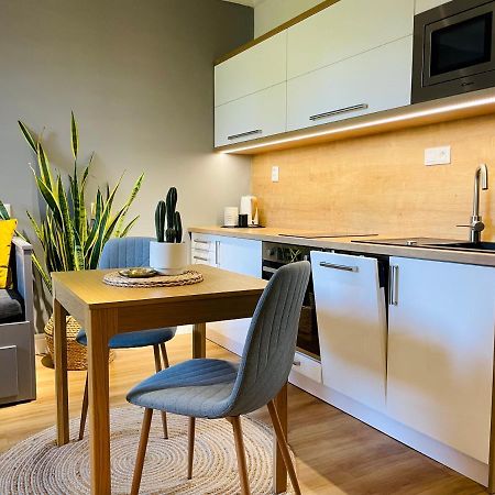 Myslbekova 16 Apartment Ostrava Exterior photo