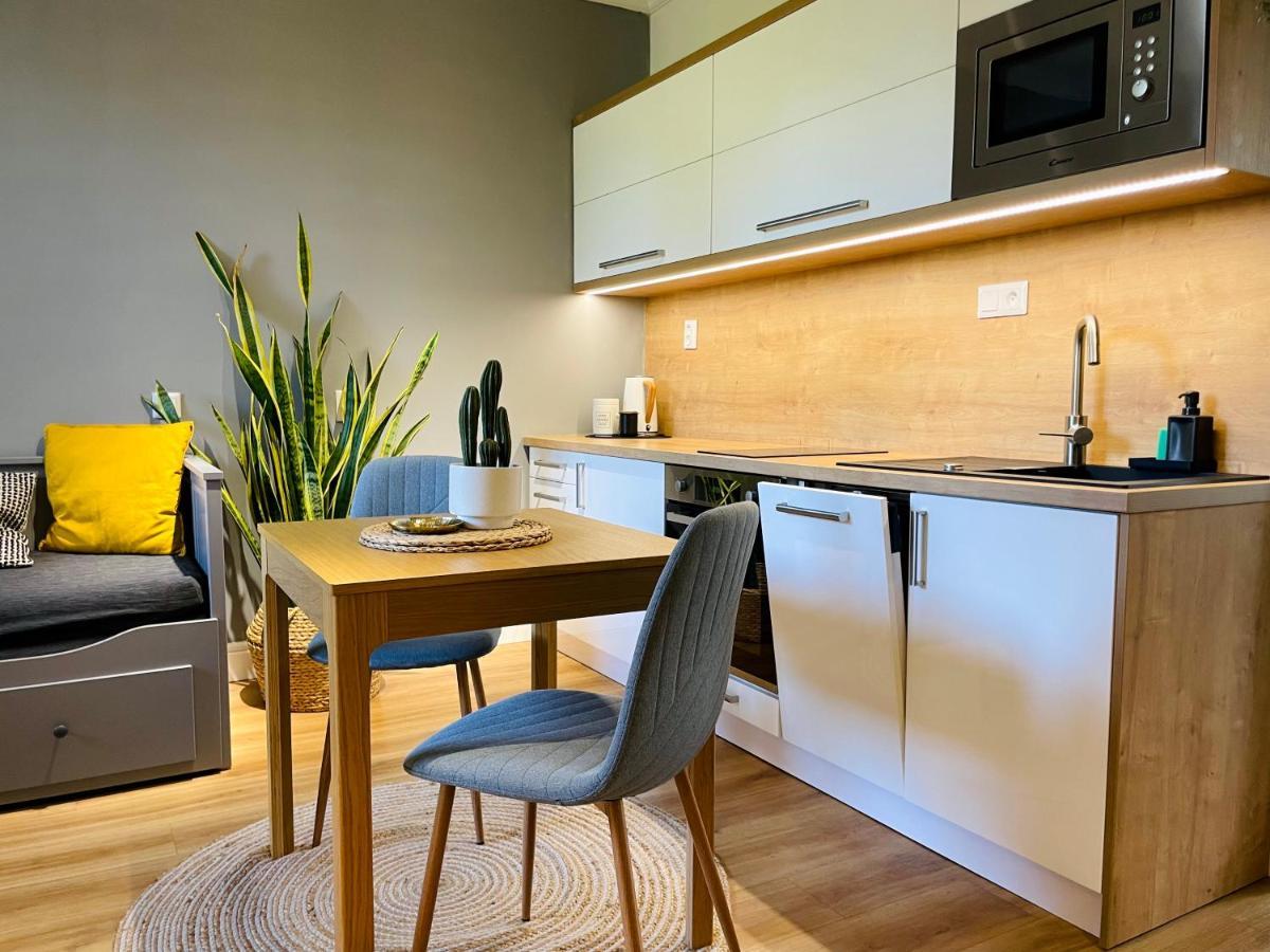 Myslbekova 16 Apartment Ostrava Exterior photo