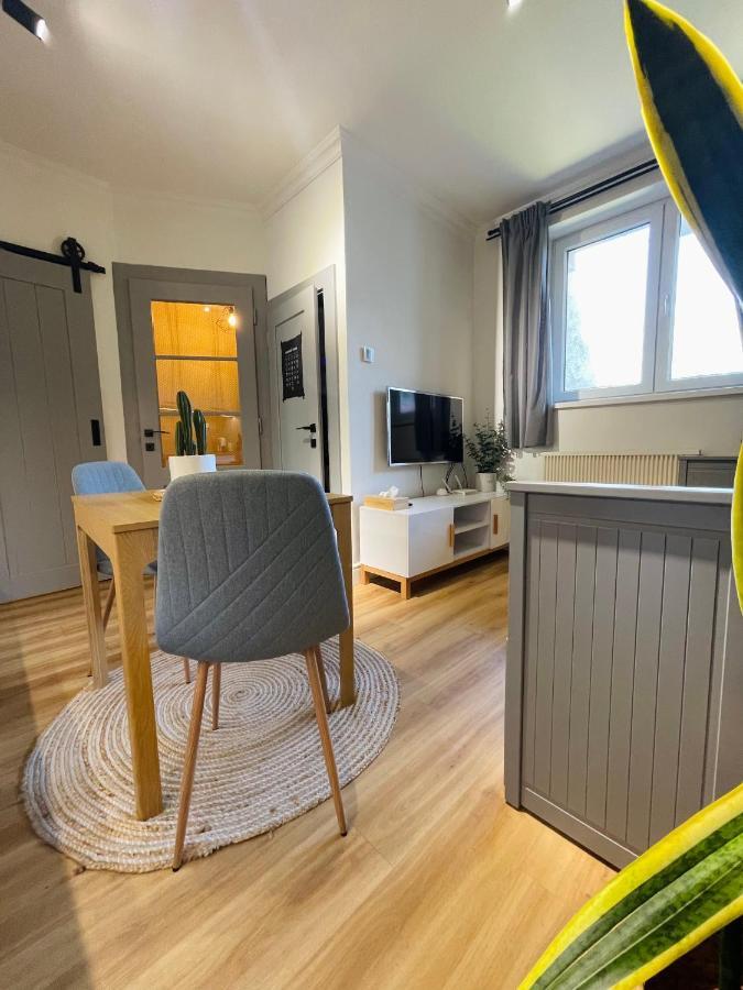 Myslbekova 16 Apartment Ostrava Exterior photo